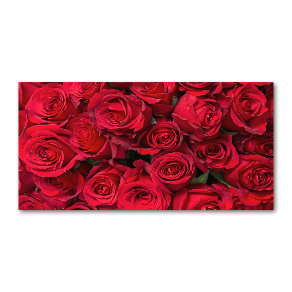 Acrylglas-Druck Rote Rosen