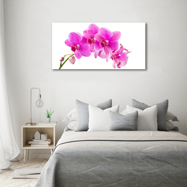 Bild auf Acrylglas Rosa Orchidee