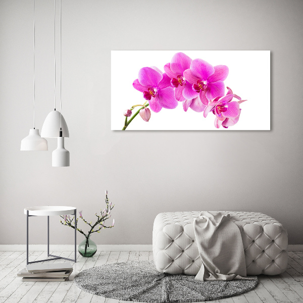Bild auf Acrylglas Rosa Orchidee