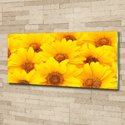Bild auf Acrylglas Sonnenblumen