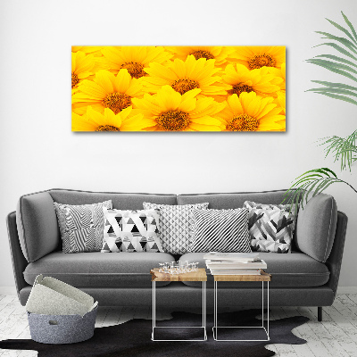 Bild auf Acrylglas Sonnenblumen