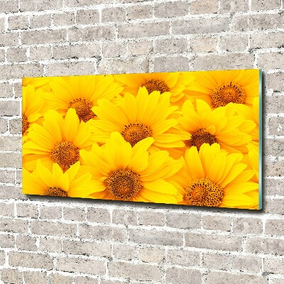 Bild auf Acrylglas Sonnenblumen
