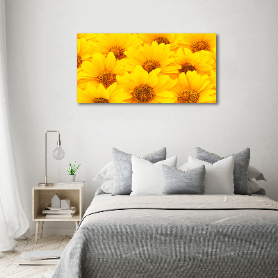Bild auf Acrylglas Sonnenblumen