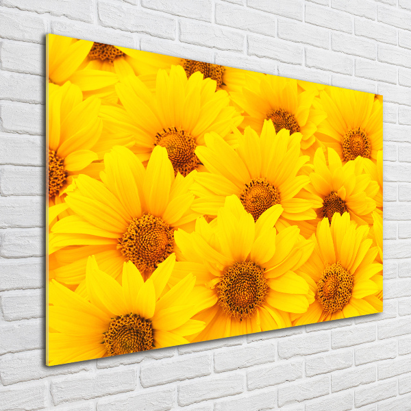Bild auf Acrylglas Sonnenblumen