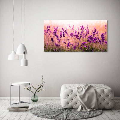 Acrylbild Fotodruck Lavendel