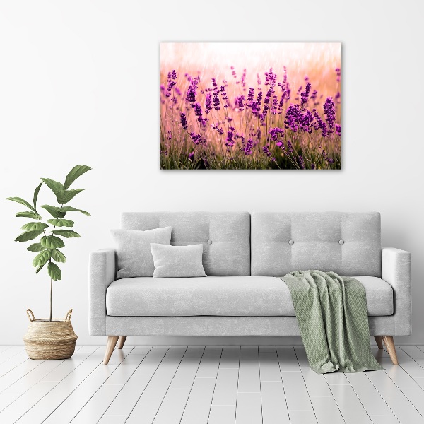 Acrylbild Fotodruck Lavendel