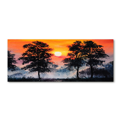 Foto auf Acryl Sonnenuntergangswald
