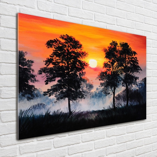Foto auf Acryl Sonnenuntergangswald