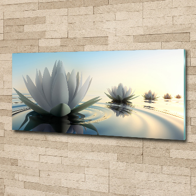 Acrylglas-Druck Lotosblume