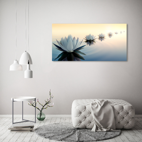 Foto auf Acryl Lotusblumen