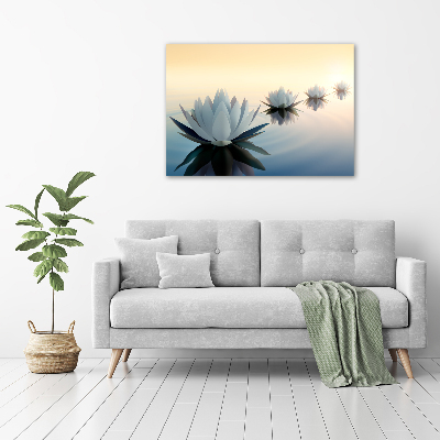 Foto auf Acryl Lotusblumen