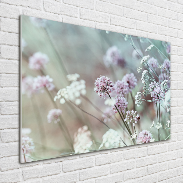 Acrylglas-Druck Wildblumen