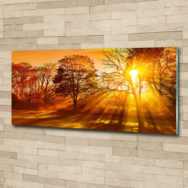 Acrylbild Fotodruck Sonnenuntergang