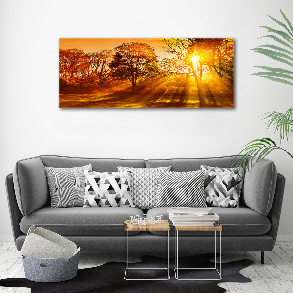 Acrylbild Fotodruck Sonnenuntergang