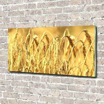 Acrylglas-Druck Getreide