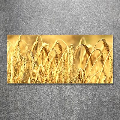 Acrylglas-Druck Getreide