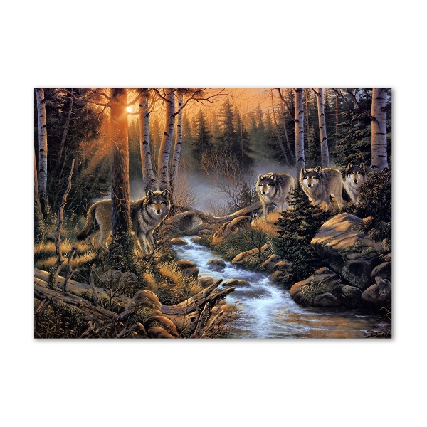 Foto auf Acryl Ein Wolfsrudel