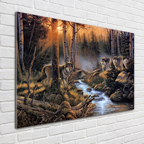 Foto auf Acryl Ein Wolfsrudel