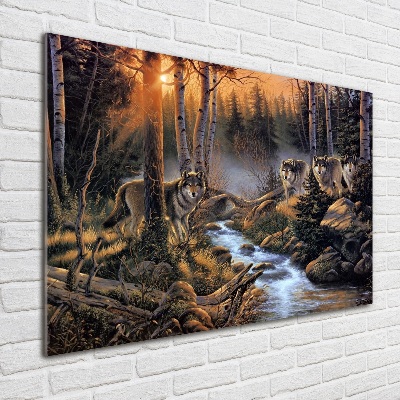 Foto auf Acryl Ein Wolfsrudel