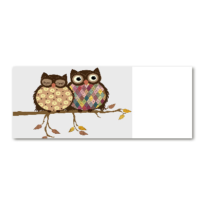 Bild auf Acrylglas Zwei Eulen auf einem Ast