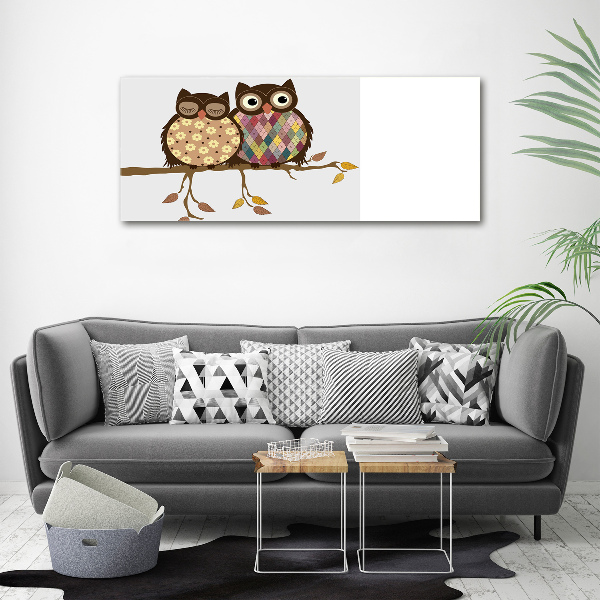 Bild auf Acrylglas Zwei Eulen auf einem Ast