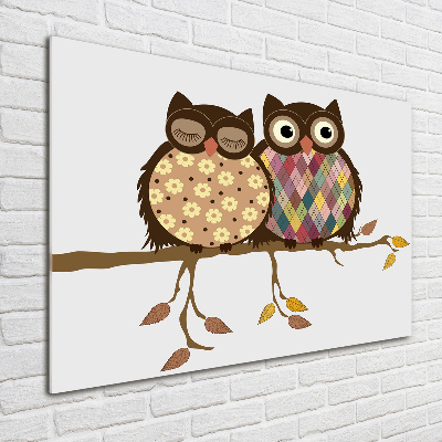 Bild auf Acrylglas Zwei Eulen auf einem Ast