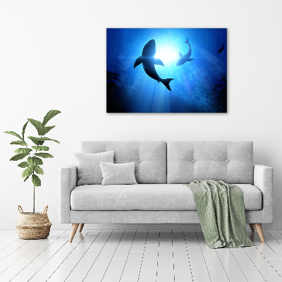 Acrylbild Fotodruck Zwei Haie