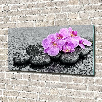 Acrylglas-Druck Orchideensteine