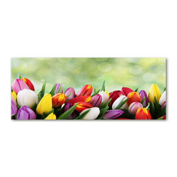 Foto auf Acryl Bunte Tulpen