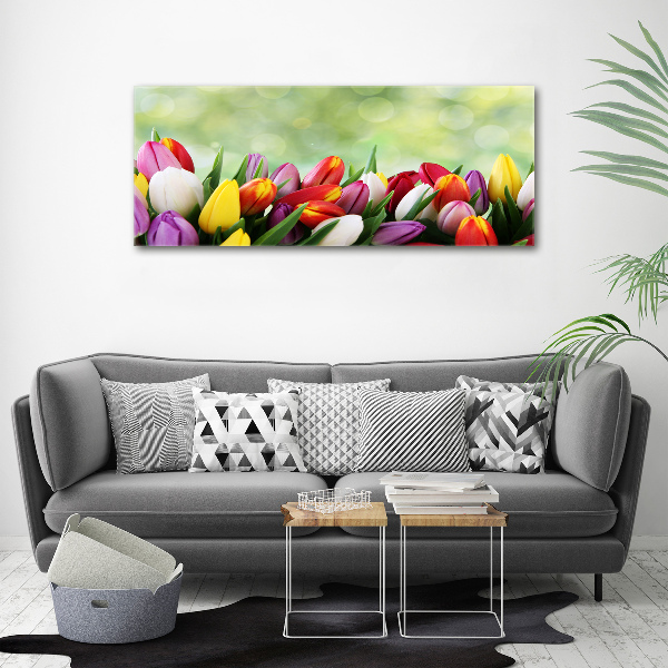 Foto auf Acryl Bunte Tulpen