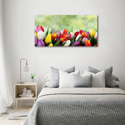 Foto auf Acryl Bunte Tulpen