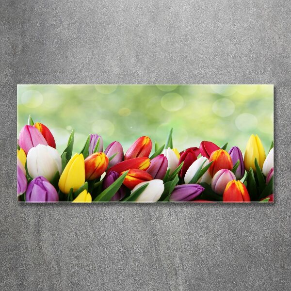 Foto auf Acryl Bunte Tulpen