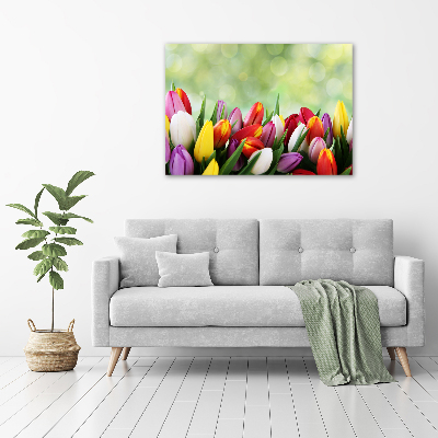 Foto auf Acryl Bunte Tulpen