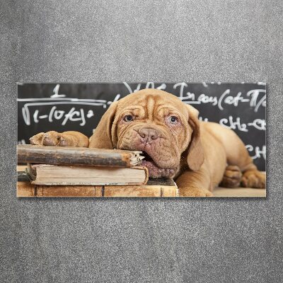 Acrylglas-Druck Der Hund beißt das Buch an