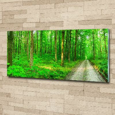 Acrylbild Fotodruck Bäume im Wald