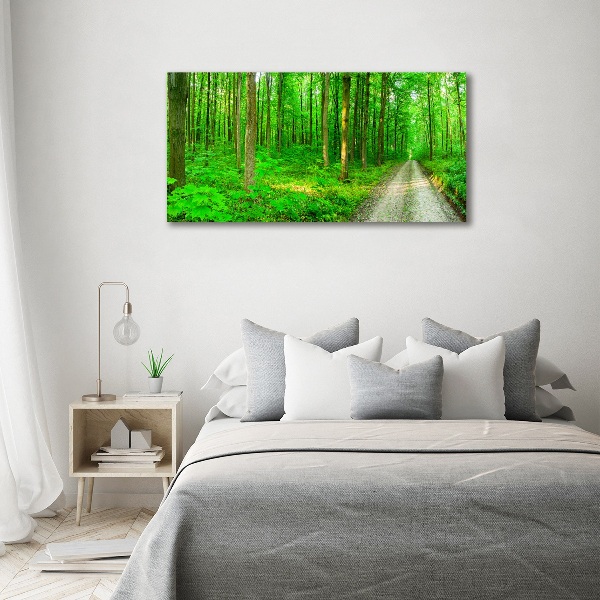 Acrylbild Fotodruck Bäume im Wald