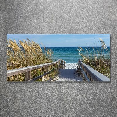 Acrylbild Fotodruck Küstendünen