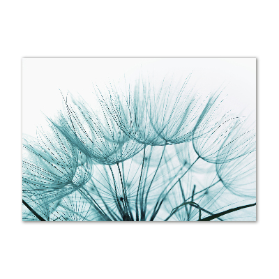 Acrylbild Fotodruck Löwenzahnsamen