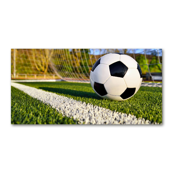 Acrylglas-Druck Der Ball ist im Tor