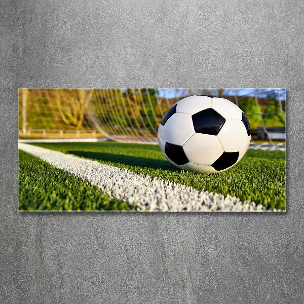 Acrylglas-Druck Der Ball ist im Tor