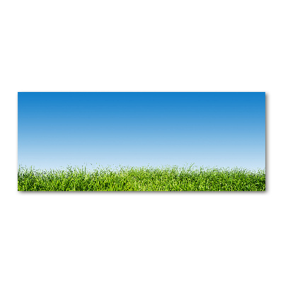 Foto auf Acryl Gras