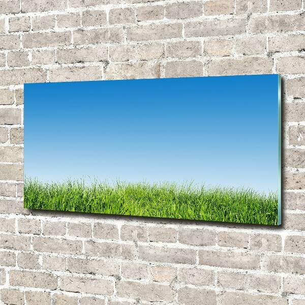 Foto auf Acryl Gras