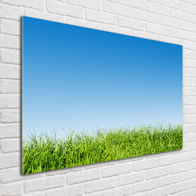 Foto auf Acryl Gras