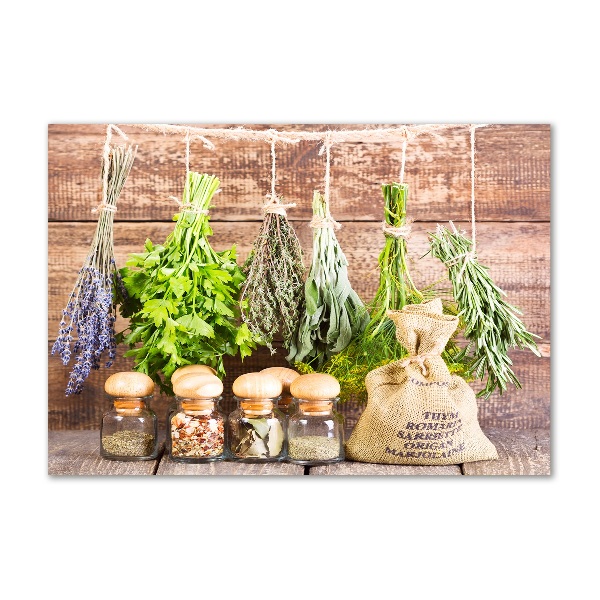 Acrylglas-Druck Kräuter an einer Schnur
