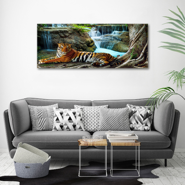 Bild auf Acrylglas Tigerwasserfall