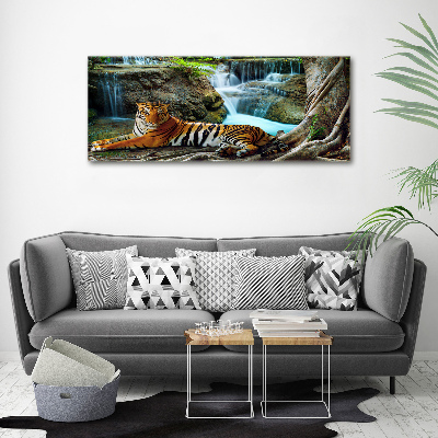 Bild auf Acrylglas Tigerwasserfall