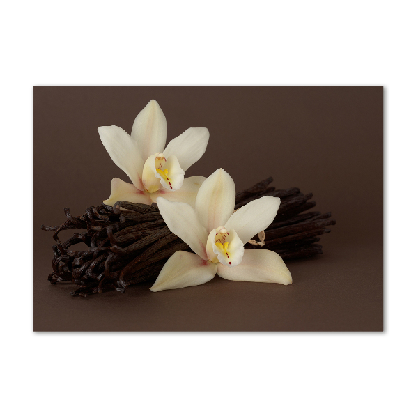 Acrylbild Fotodruck Vanilleschoten