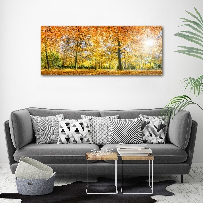 Acrylbild Fotodruck Wald im Herbst