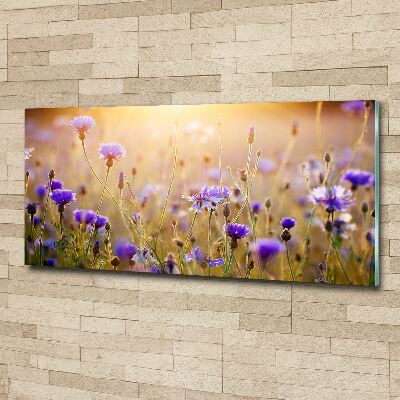 Acrylglas-Druck Wildblumen