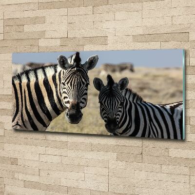 Acrylbild Fotodruck Zwei Zebras